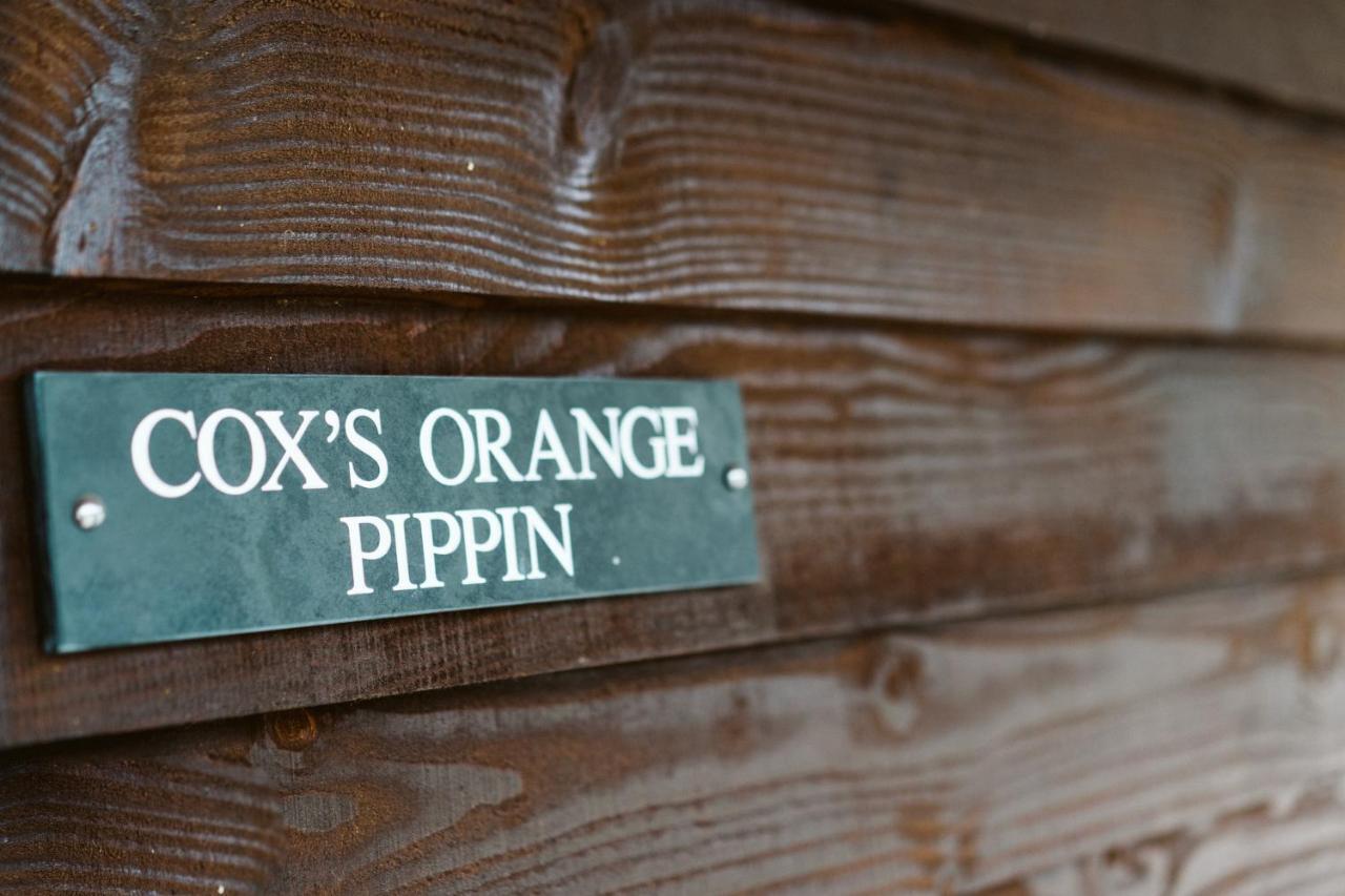 The Apple Rooms - Houghton Lodge Stockbridge  Kültér fotó